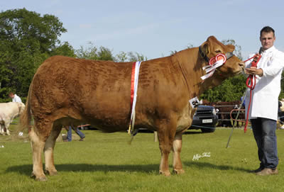 CURRAGHREE SENSATION